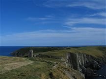 The Old Head